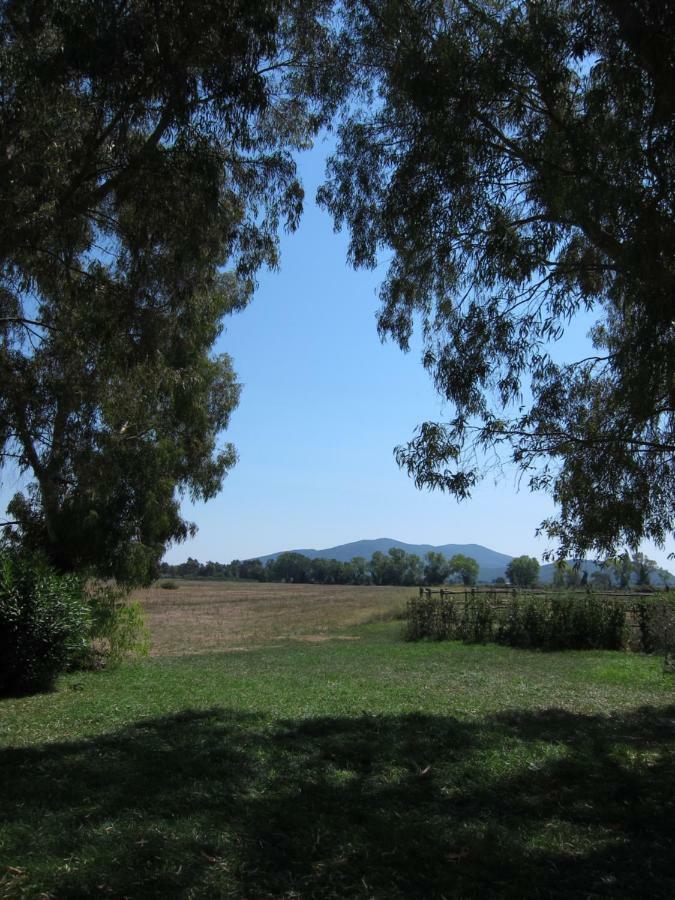 Tenuta San Carlo Marina di Grosseto Exterior photo