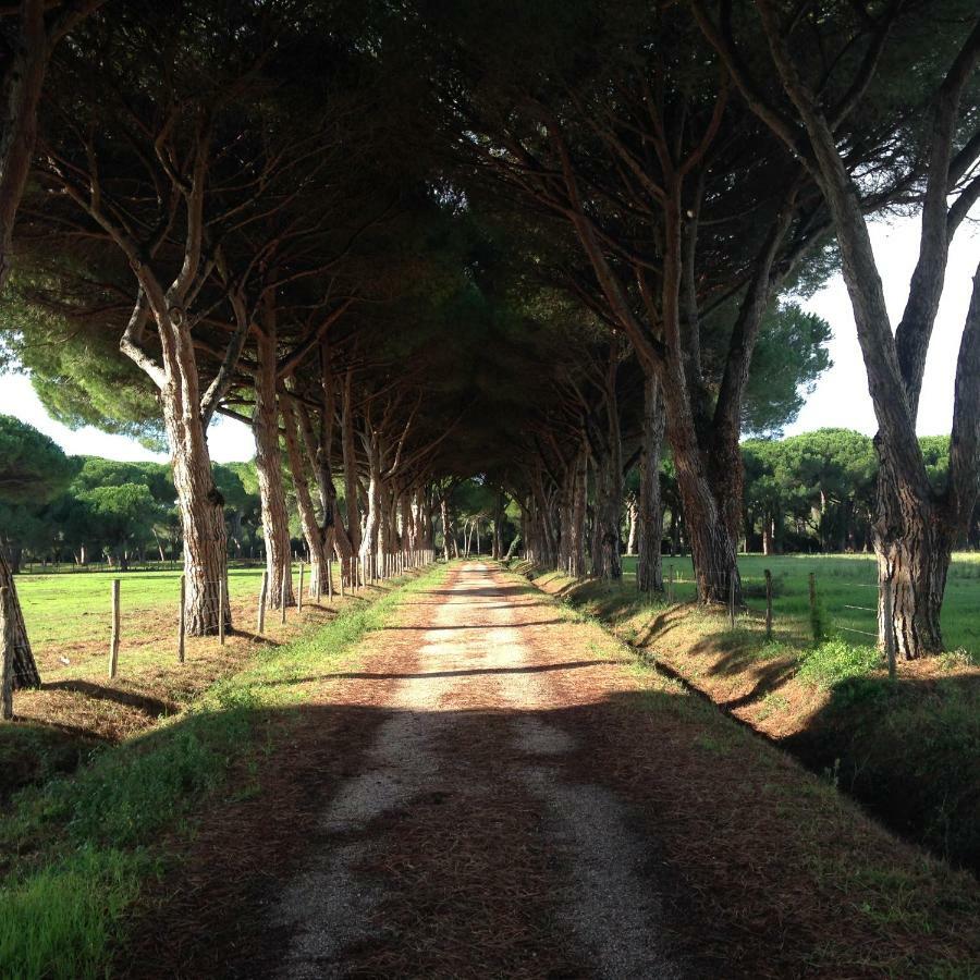 Tenuta San Carlo Marina di Grosseto Exterior photo